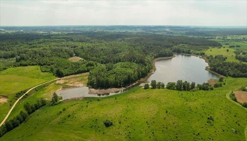 działka na sprzedaż 3001m2 działka Rogale