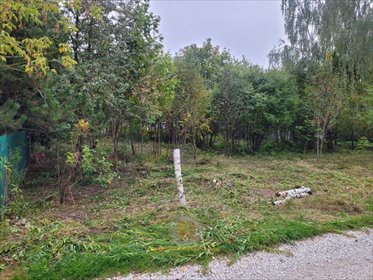 działka na sprzedaż 1000m2 działka Leszno, Podzaborówek