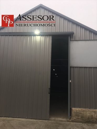 lokal użytkowy na wynajem 300m2 lokal użytkowy Kalisz