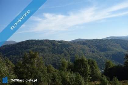 Na sprzedaż działka inwestycyjna 25 300 m² w Brennie działka Brenna