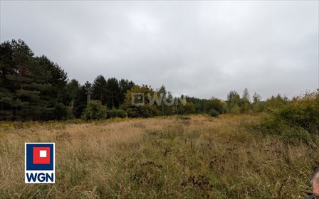 Działka 3674 m² pod zabudowę (Ostrów Wielkopolski) działka Ostrów Wielkopolski, Kamienna