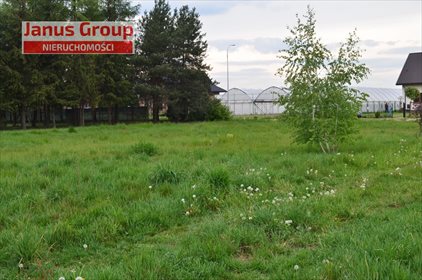 Działka inna na sprzedaż Piotrków Trybunalski, Twardosławice 2 300m2 Foto 5