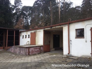 Lokal użytkowy na sprzedaż Szubin-Wieś 1 196m2 Foto 2