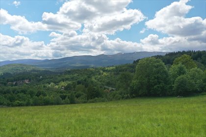 działka na sprzedaż 3000m2 działka Szklarska Poręba