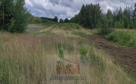 Działka budowlana 9 806 m² z podziałem, media, plan. działka Nowe Miasto Nad Pilicą