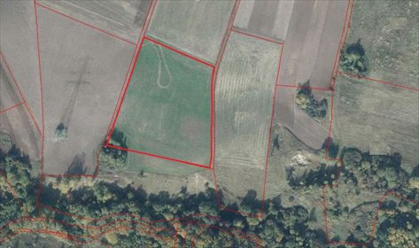 działka na sprzedaż 14382m2 działka Szczecin, Skolwin