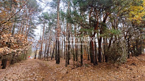 działka na sprzedaż 1956m2 działka Osowiec