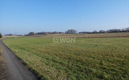 Działka budowlana 5338 m² w Ostrzeszowie - spokojna okolica. działka Ostrzeszów-Pustkowie, Ostrzeszów-Pustkowie