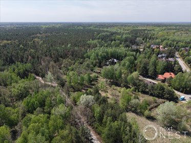 Działka 7642 m² w Czarnowie (las, media, spokój) działka Czarnów, Gościniec