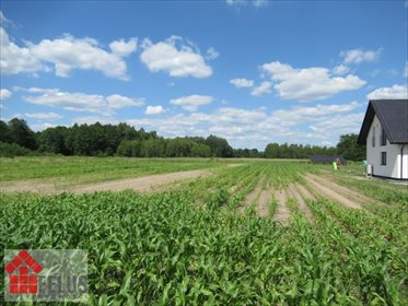 działka na sprzedaż 4700m2 działka Czernichów, Ratanice