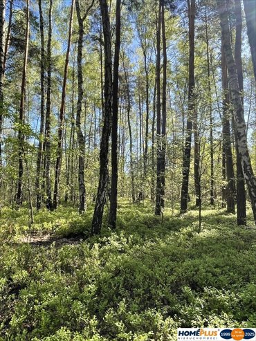 działka na sprzedaż 1116m2 działka Ciemne