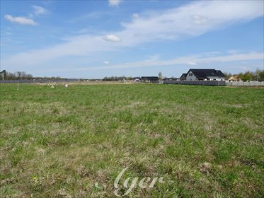 działka na sprzedaż 1041m2 działka Szprotawa