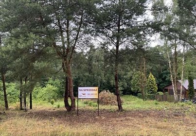 działka na sprzedaż 811m2 działka Nowy Dębiec, Stary Dębiec, Sosnowe