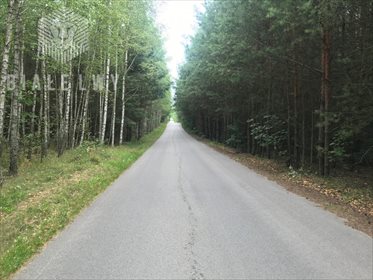 Działka siedliskowa na sprzedaż Ługowice 33 800m2 Foto 1