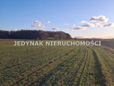 Działki 1000 m² z mediami w Kruszynie Krajeńskim polecam działka Kruszyn Krajeński