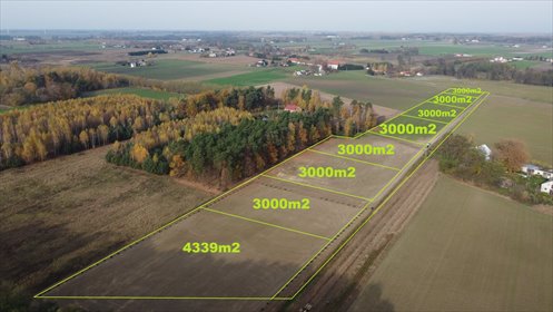Działka 3000 m² z warunkami zabudowy przy asfaltowej drodze - polecam! działka Nowe Wrońska