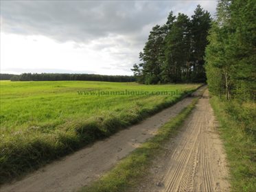 Działka rolna na sprzedaż Jeleniowo 10 000m2 Foto 7
