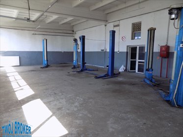 lokal użytkowy na wynajem 198m2 lokal użytkowy Pruszcz Gdański