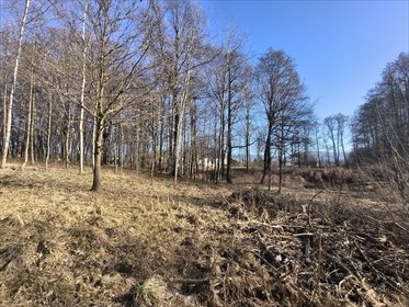 działka na sprzedaż 3300m2 działka Bielsko-Biała, Hałcnów, Deszczowa