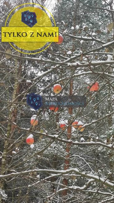 działka na sprzedaż 26100m2 działka Krzyżówki