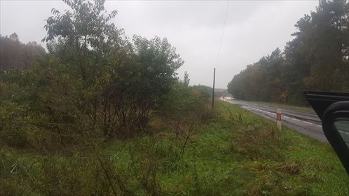 Działka 3,65ha pod stadninę z domem i lasem działka Piotrowo, Piotrowska