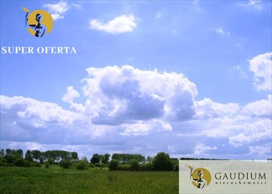Działka budowlana na sprzedaż Wola Miedniewska 12 200m2 Foto 4