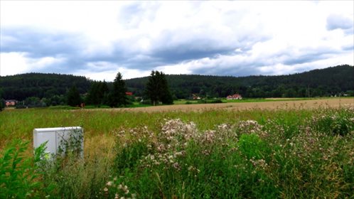 działka na sprzedaż 3000m2 działka Wojcieszyce, Uzdrowiskowa