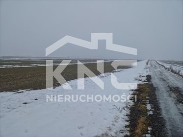 działka na sprzedaż 15500m2 działka Ignaców