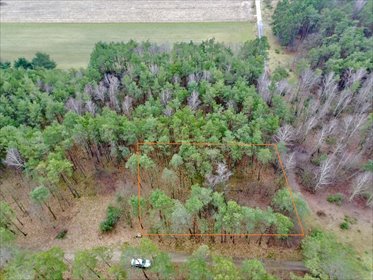 działka na sprzedaż 1370m2 działka Romanów, Przyszkolna