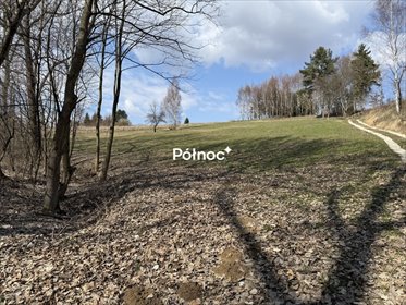 działka na sprzedaż 4810m2 działka Wierzchowie