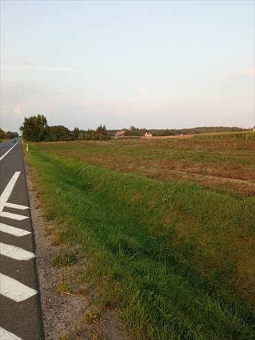 Działka inwestycyjna na sprzedaż Zdrojewo 6 500m2 Foto 3