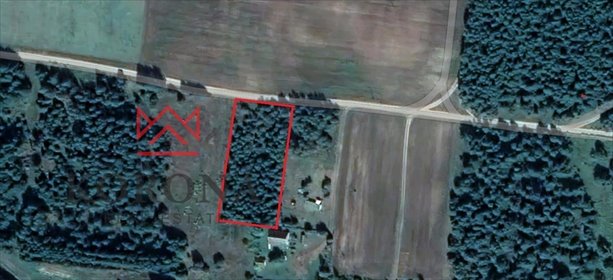 Działka 3000 m² w Piłatowszczyźnie (las, cisza, energia) działka Piłatowszczyzna