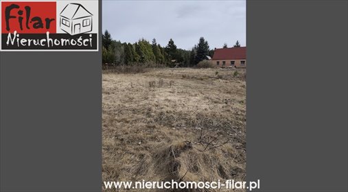 Działka pod zabudowę w Drzewcach 13 750 m2 z możliwością inwestycji działka Drzewce