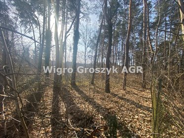 działka na sprzedaż 1405m2 działka Łomianki, Dąbrowa Leśna