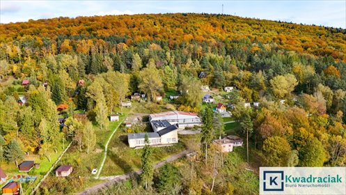 lokal użytkowy na sprzedaż 1750m2 lokal użytkowy Tylawa