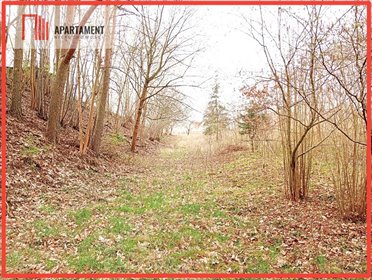 Działka 5575 m² w Tryszczynie (prywatność, urozmaicone ukształtowanie) działka Tryszczyn