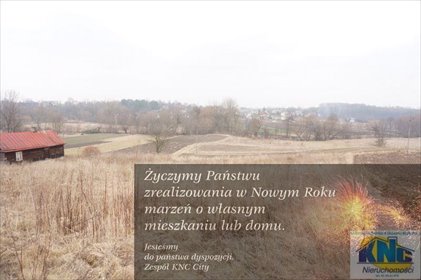 działka na sprzedaż 6500m2 działka Pliszczyn