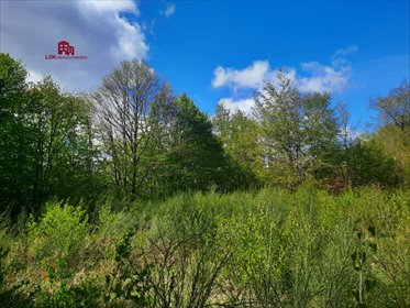 działka na sprzedaż 3036m2 działka Gościcino, Cicha