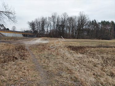 działka na sprzedaż 13200m2 działka Emów