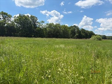 Działka 1000 m² z dojazdem asfaltowym, uzbrojona, pod zabudowę działka Tomice