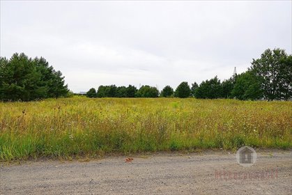 Zapraszam do zakupu działki przemysłowej 15 018 m² w Gorzowie działka Gorzów Wielkopolski