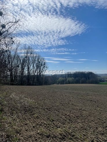 działka na sprzedaż 1030m2 działka Turza Śląska