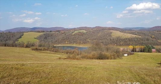 Działka inwestycyjna na sprzedaż Chrewt 29 900m2 Foto 5