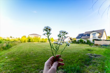 działka na sprzedaż 1150m2 działka Warszawa, Ursynów, Kurantów