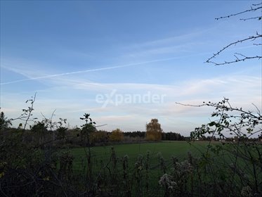 działka na sprzedaż 600m2 działka Gruszczyn, Mechowska