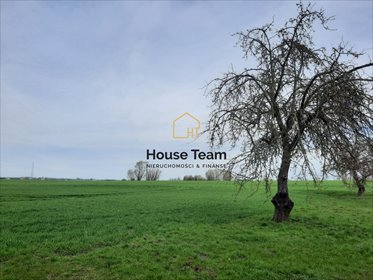 Sprzedam działkę 3 074 m² w Cieleszynie - spokojna wiejska okolica działka Cieleszyn