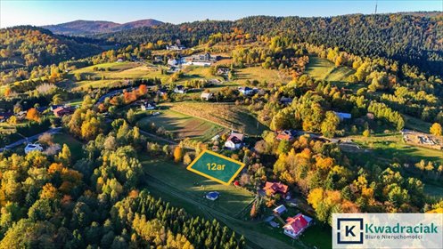 działka na sprzedaż 1200m2 działka Korczyna, Leśna