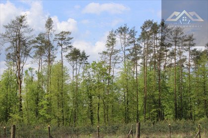 działka na sprzedaż 42m2 działka Wola Rzędzińska