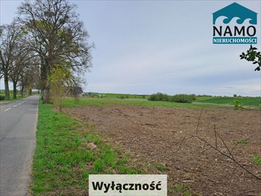 działka na sprzedaż 3746m2 działka Gołębiewo Wielkie, Wrzosowa