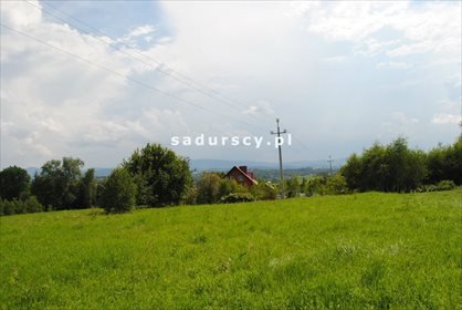 Działka leśna na sprzedaż Aleksandrów 50 000m2 Foto 5